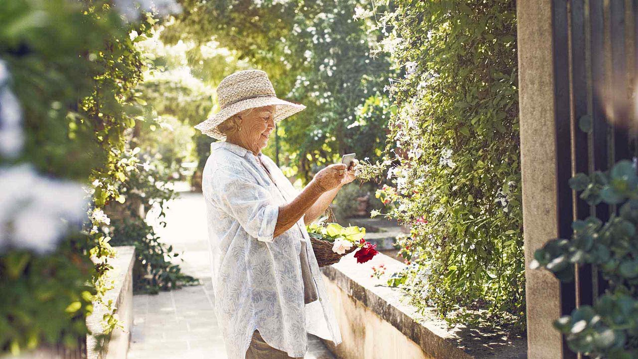Starší žena sbírá květiny v zahradě